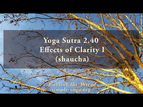 Yoga Sutra 2.40 Effects of Clarity I (shaucha)