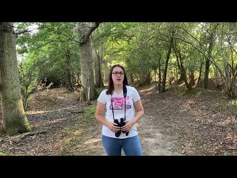 Discovering the Knepp Rewilding Estate!