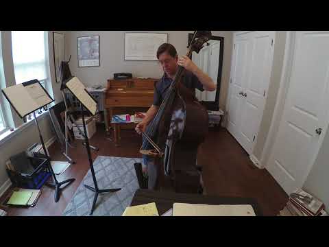 Dancing Bear 66 bpm Bass 1