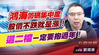 鴻海籌碼集中度，股價不跌就是漲！這二檔ㄧ定要抱過年！｜台股攻略｜劉烱德 (圖)