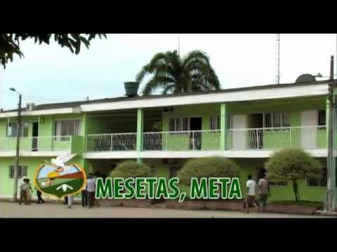 Mesetas, Meta - Festival La Meseta De Oro 2012