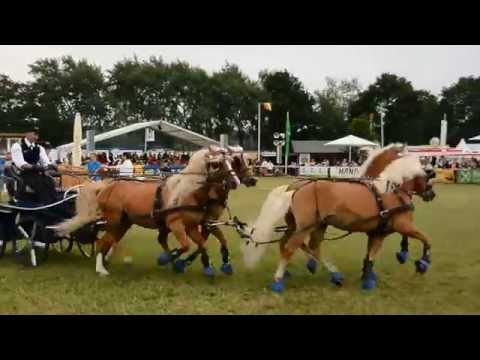 Tarmstedt 2015 Auftritt Luber Teil 1