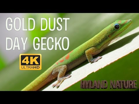 IUCN分類における絶滅の危険性を示す図。