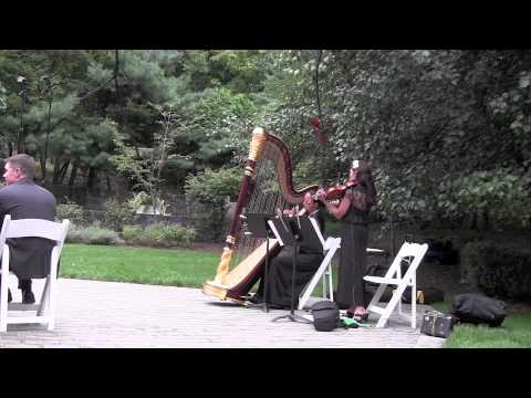 Promotional video thumbnail 5 for Nina Bogomas