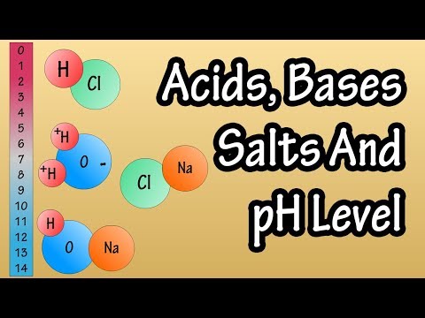 Acids And Bases Salts And pH Level - What Are Acids Bases And Salts - What Is The pH Scale Explained