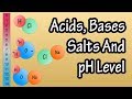 Acids And Bases Salts And PH Level What Are Acids Bases And Salts What Is The PH Scale Explained