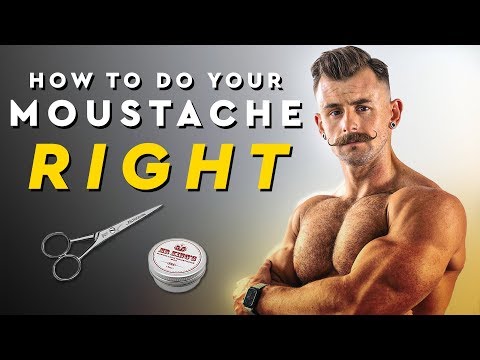 download lagu mp3 mp4 Best Handlebar Moustache, download lagu Best Handlebar Moustache gratis, unduh video klip Best Handlebar Moustache