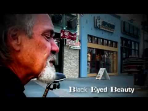Black Eyed Beauty - Noel Diotte
