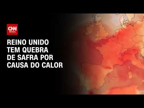 Com calor intenso, Reino Unido deve ter pior safra desde 1984 | CNN AGRO NEWS