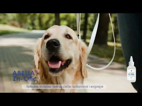 Ørepleje til hund, kat og smådyr med sarte øregange – ABELIA® Zn-Otic