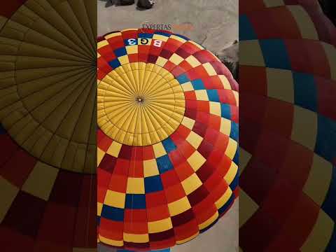 Expertas Travel Short