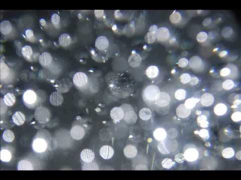 Zia - Laughter (Swesub)