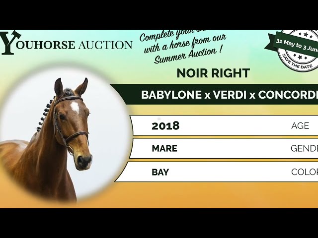 Noir Right showvideo outdoor