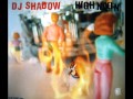 Dj Shadow - High Noon