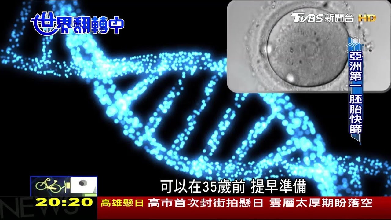 「卵」實力! 生殖技術成熟吸海外人士