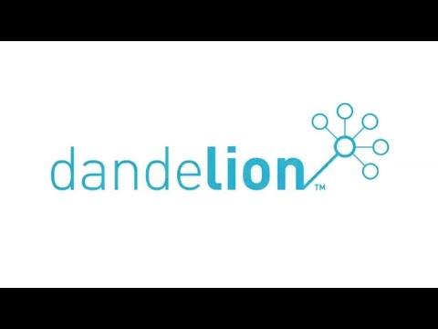Dandelion Video concept - The first italian Data Market by Spaziodati