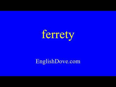 How to pronounce ferrety in American English