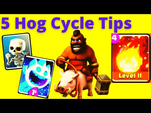 2.6 Hog Cycle Guide! - *HOW TO WIN MORE* with 2.6 Hog Cycle