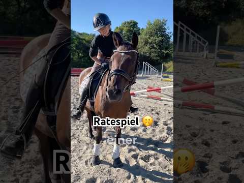 Who can guess the breed, size, age, and gender of this horse? 🐎