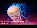 What Actually Happens When You Hit Your Head