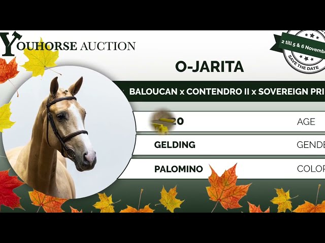 O Jarita homevideo