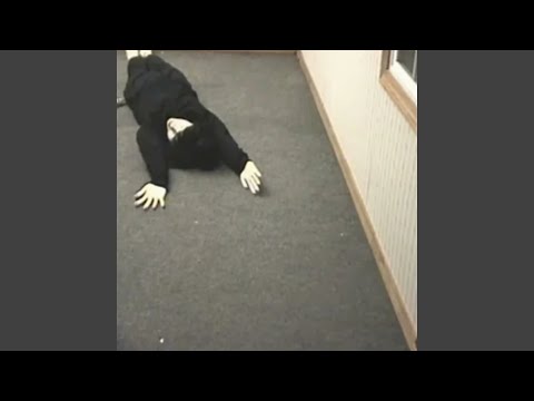 Video thumbnail for no one