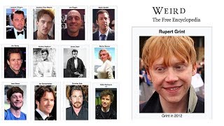 Why Wikipedia Uses Such Weird Photos