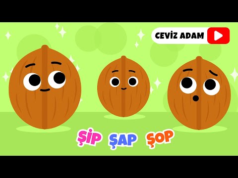 Ceviz Adam Şip Şap Şop (YENİ) - En Sevilen Çocuk Şarkıları - Çizgi Film