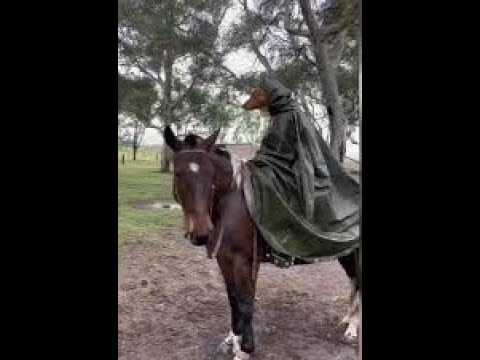 Solo Master Acquisition | Titan