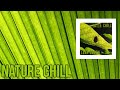 Leaf Green Latte Chill 2019 Nature Chill Ambient Beats Full Album