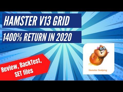 Video Hamster Scalping