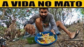ISOLADO NO MATO FAZENDO SALADA DE FRUTAS PRA COMER Ep 193