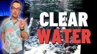 Week 16: How To Get Crystal Clear Water, Adding Sand & Saltwater, Beginner How To Guide Aquariums