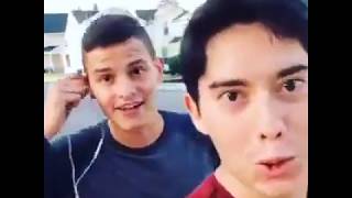 Second Alibi - Single Presale