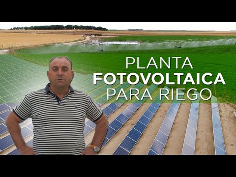 Riego de maíz con planta fotovoltaica. Agricultura de élite para una ganadería de vacuno sostenible