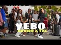 TXC Davido Yebo Official Dance Video Dance 98