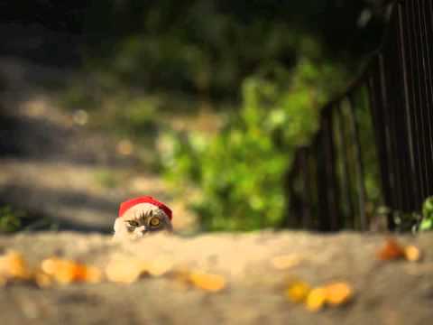 Redlight - What you talking about Feat Ms Dynamite (50HZ Remix).m4v