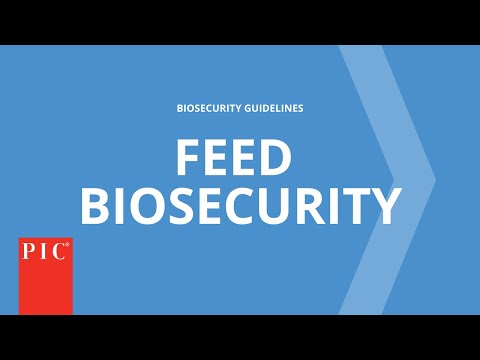Feed Biosecurity | Pig Improvement Company