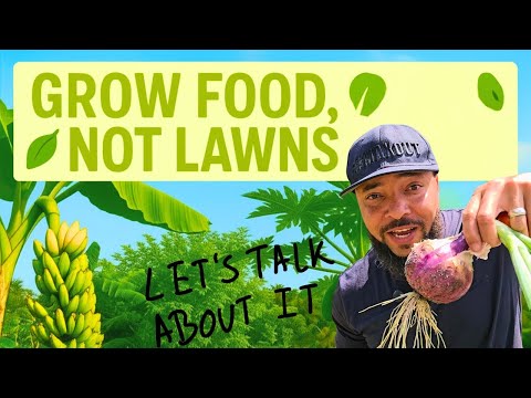 Grow Your Own Food Forest: Why You Need One NOW (Self-Sufficiency & Savings)