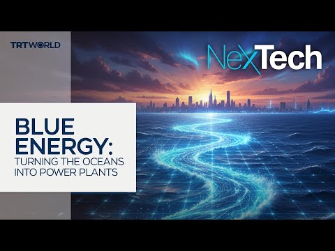 Blue Energy: Turning The Ocean Into Power Plants | NexTech