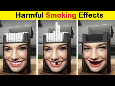 The Opposite Of Design Fails | Of The Most Brilliant Design Ideas || Funny Daily #365