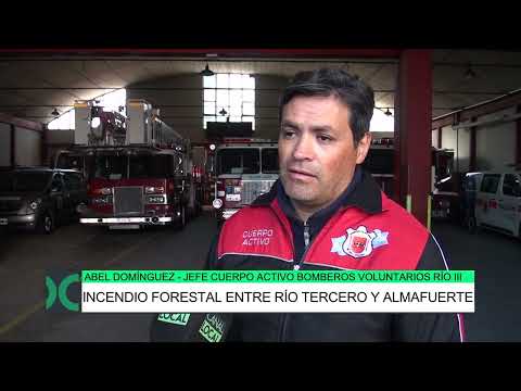 Incendio forestal entre Río Tercero y Almafuerte, Abel Domínguez