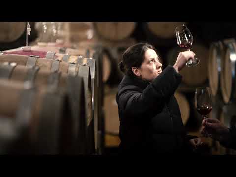 respekt-BIODYN – Weingut Christmann | Pfalz