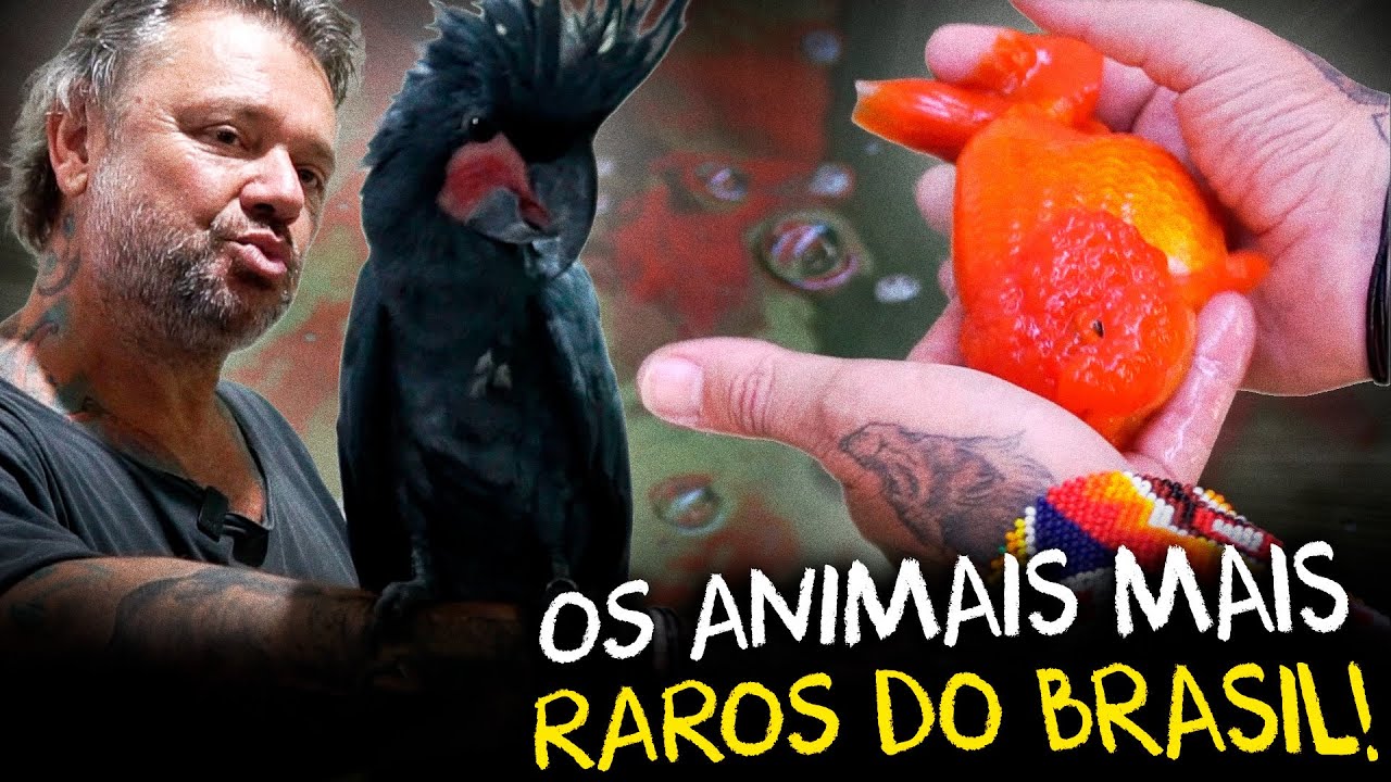 ENCONTREI O PARAÍSO DOS ANIMAIS EXÓTICOS: TOUR COMPLETO PELA GALPÃO ANIMAL!