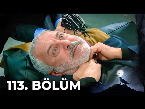 Kurtlar Vadisi Pusu - 113. Bölüm FULL HD