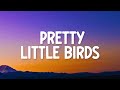 SZA Pretty Little Birds Lyrics Ft Isaiah Rashad