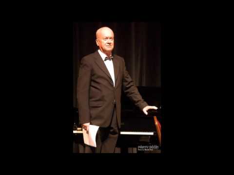 J.S. Bach/ F. Busoni - Chaconne