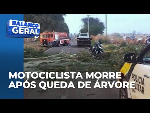 Árvore cai após ventania e causa a morte de motociclista na PR-180 em Guairaçá