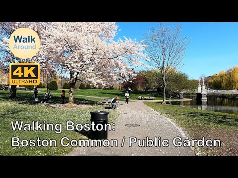 【4K60】 Walking - Boston Common / Public Garden