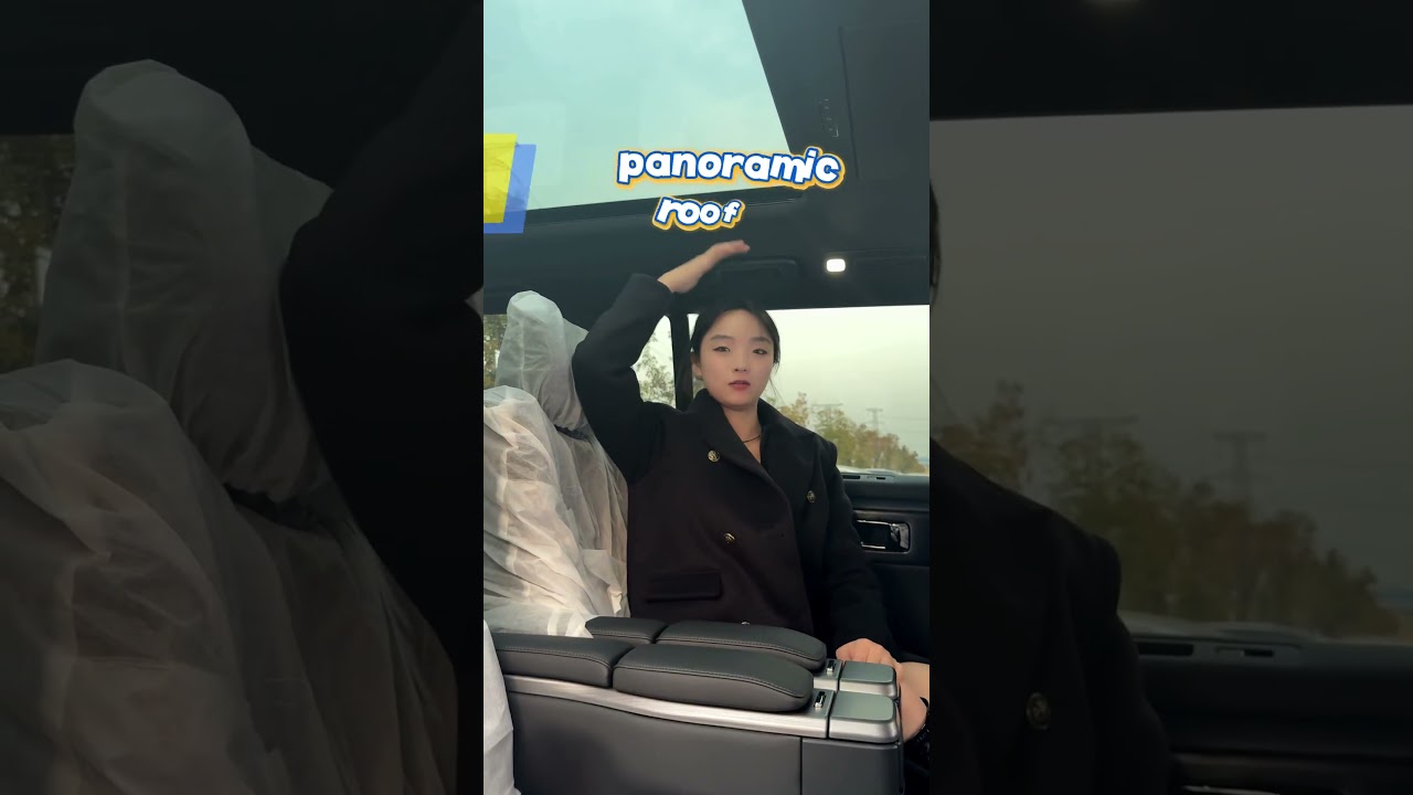 ROX 01 Hybrid Car video